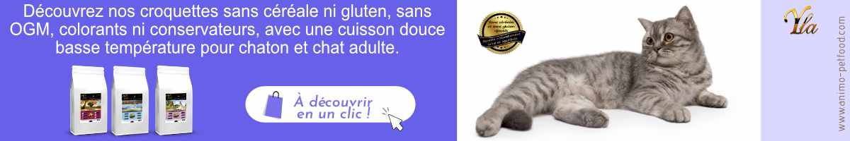 croquettes-pour-chat-et-chaton-sans-cereale